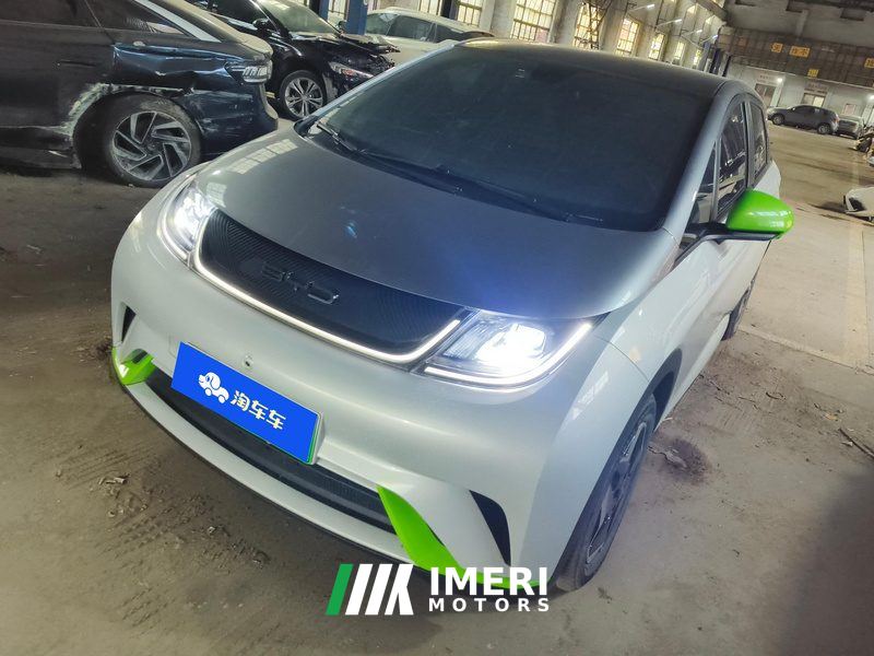 BYD Dolphin 405km Stylish Edition