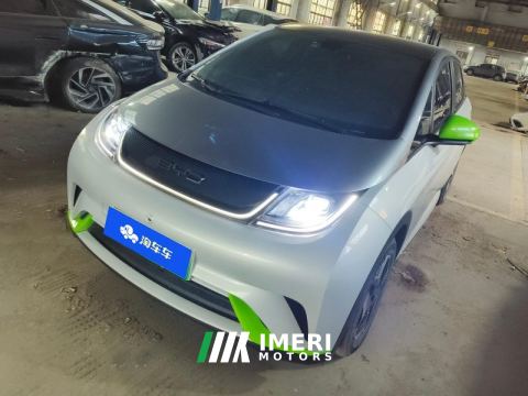 2021 BYD Dolphin 405km Stylish Edition - ავტომობილი ჩინეთიდან