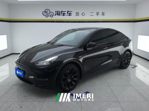 2021 Tesla Model Y Standard endurance rear-wheel drive - car from China