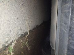 Geely Xingui Xingrui 2.0TD Prestigious Edition - photo 9
