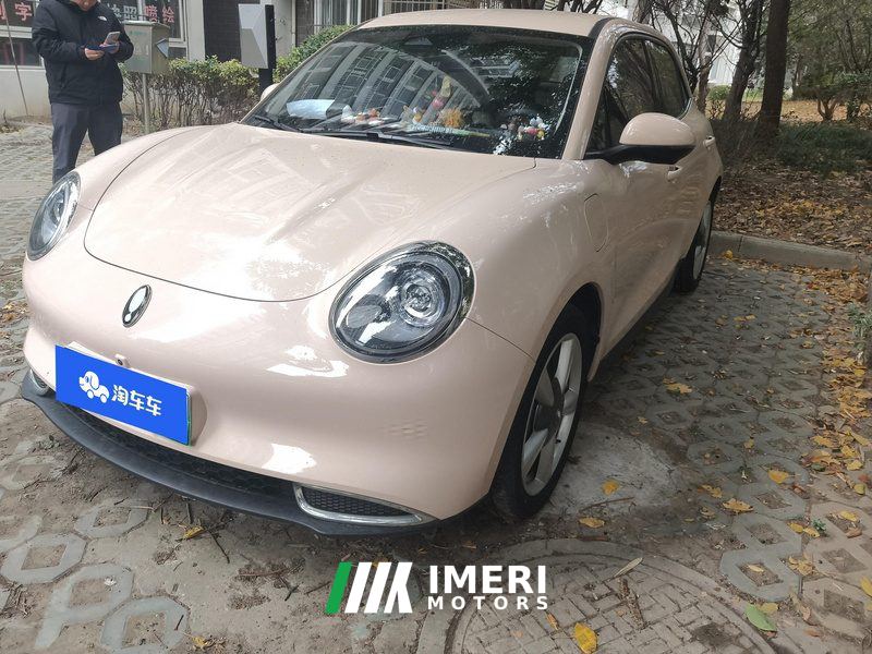 Ora Great Wall Good Cat 401km Luxury Edition - ავტომობილი ჩინეთიდან
