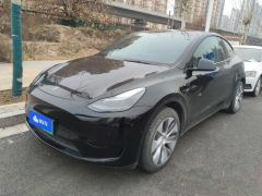 Tesla Model Y 545km Rear-Wheel Drive Edition - ფოტო 1