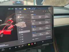 Tesla Model Y 545km Rear-Wheel Drive Edition - ფოტო 20
