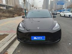Tesla Model Y 545km Rear-Wheel Drive Edition - ფოტო 3