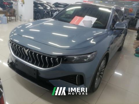 2022 Voyah FREE 123km AWDDNAEREV Edition
