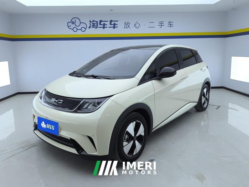 BYD Dolphin 420km Stylish Edition - car from China