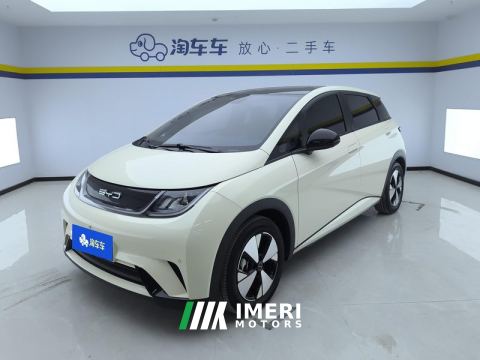 2023 BYD Dolphin 420km Stylish Edition - ავტომობილი ჩინეთიდან