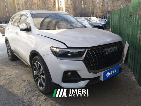 2023 Haval H6 Guochao Edition 1.5T 2WD Champion Edition - car from China