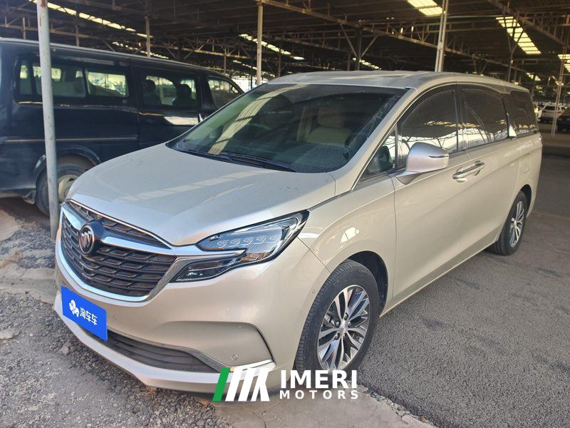 Buick GL8 ES Luxury Edition 653T Comfort Edition 7-seater