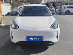 Geely Star Wish 310km Edition - ფოტო 3