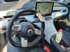 smart Elves #1 535km Rear-wheel drive Pulse Heart-throb Edition - photo 16