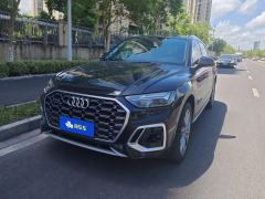 Audi Q5L 40 TFSI Luxury Dynamic Edition - ფოტო 1