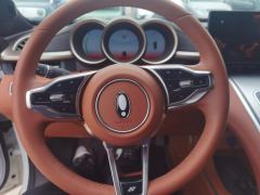Ora Lightning Cat 555km Luxury Edition - ფოტო 18