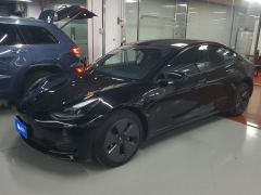 Tesla Model 3 556km Rear-Wheel Drive Edition - ფოტო 1