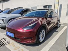 Tesla Model Y 545km Rear-Wheel Drive Edition - ფოტო 1