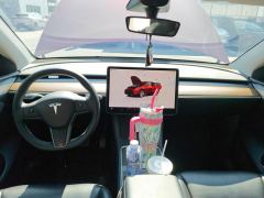 Tesla Model Y 545km Rear-Wheel Drive Edition - ფოტო 16