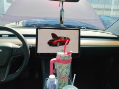 Tesla Model Y 545km Rear-Wheel Drive Edition - ფოტო 17