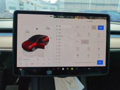 Tesla Model Y 545km Rear-Wheel Drive Edition - ფოტო 20