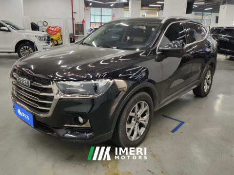 2021 Haval H6 Guochao Edition 1.5T 2WD Champion Edition - ავტომობილი ჩინეთიდან