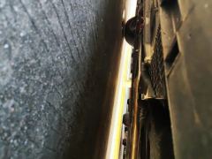 Geely Pinrui Binrui COOL 1.5T Longteng Edition - фото 11