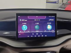 BYD Qin PLUS DM-i 55km Flagship - photo 17