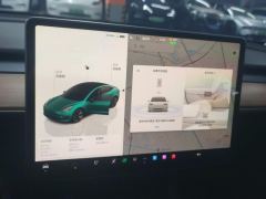 Tesla Model 3 556km Rear-Wheel Drive Edition - ფოტო 17