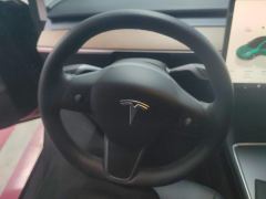 Tesla Model 3 556km Rear-Wheel Drive Edition - ფოტო 18