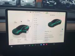 Tesla Model 3 556km Rear-Wheel Drive Edition - ფოტო 20