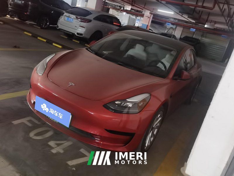 Tesla Model 3 Standard Range Edition 3D6