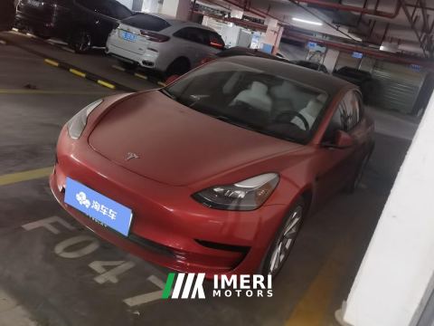 2021 Tesla Model 3 Standard Range Edition 3D6 - car from China