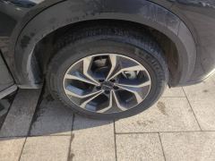 Haval Divine Beast 2.0T 2WD Edition - ფოტო 6