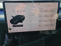 Tesla Model Y Standard endurance rear-wheel drive - photo 20