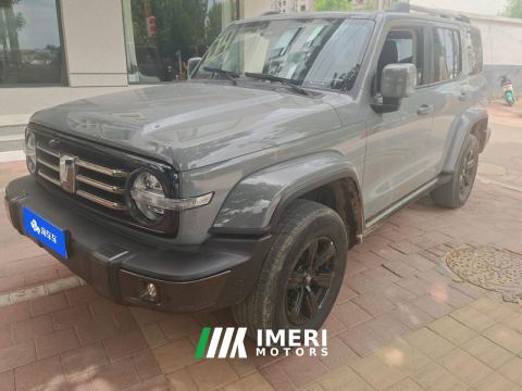 2023 Tank 300 City Edition 2.0T Stylish - car from China