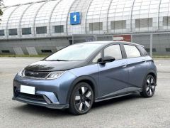 BYD Dolphin 401km Knight Edition - ფოტო 1