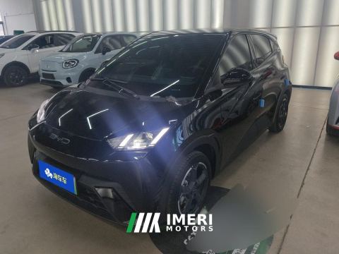 2023 BYD Seagull 305km Free Version