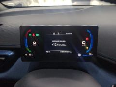 BYD Seagull 305km Free Version - photo 20