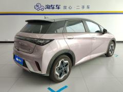 BYD Dolphin 405km Stylish Edition - ფოტო 2