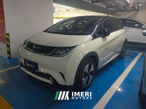 2023 BYD Dolphin 420km Stylish Edition - ავტომობილი ჩინეთიდან