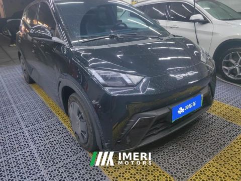 2023 BYD Seagull 305km Vitality Edition - car from China