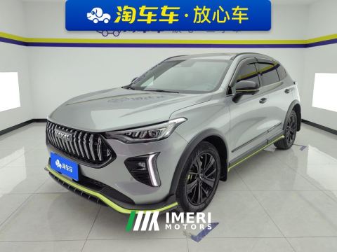 2021 Haval Chitu Jiqing Edition 1.5T Golden Rabbit - car from China