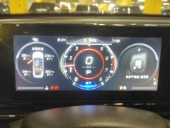 GAC Shadow Leopard 270T J16 Edition - ფოტო 20