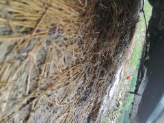 Changan UNI-V 1.5T Premium - photo 8