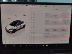 Tesla Model Y 554km Rear-Wheel Drive Edition - ფოტო 20