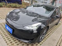 Tesla Model 3 556km Rear-Wheel Drive Edition - ფოტო 1
