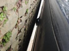 Tesla Model 3 556km Rear-Wheel Drive Edition - ფოტო 11