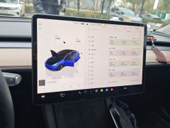 Tesla Model 3 556km Rear-Wheel Drive Edition - ფოტო 17