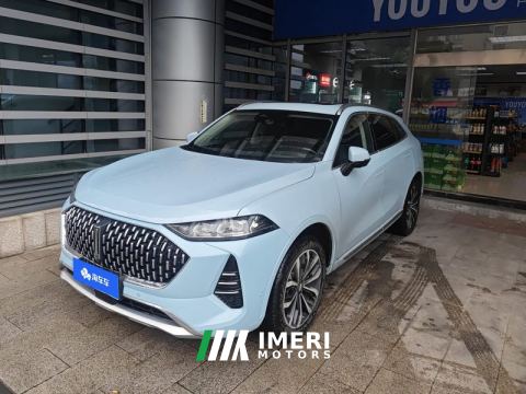 2021 Great Wall Mocha fuel Weipai Mocha Fuel Oil 2.0T Two-Wheel Drive Special Edition