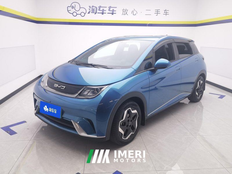 BYD Dolphin 405km Free Version - ავტომობილი ჩინეთიდან