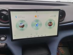 BYD Dolphin 405km Free Version - ფოტო 17