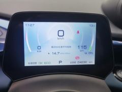 BYD Dolphin 405km Free Version - ფოტო 20